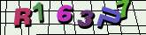 Chuck Norris has counted to infinity. Twice.
